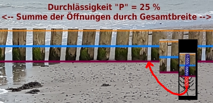 exemplarischer Abschnitt einer durchlässigen Holzpfahlbuhne